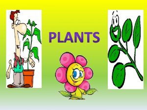 Plant Classification Angiosperms flowering plants angi enclosed sperma