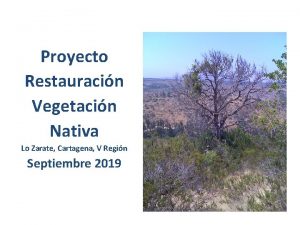 Proyecto Restauracin Vegetacin Nativa Lo Zarate Cartagena V