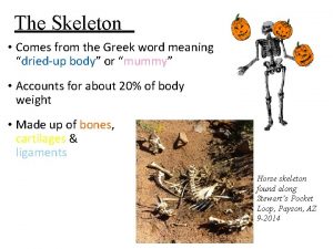 The Skeleton Comes from the Greek word meaning
