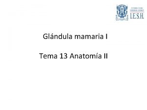 Glndula mamaria I Tema 13 Anatoma II Las