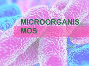 MICROORGANIS MOS Como ya aprendimos los microorganismos son