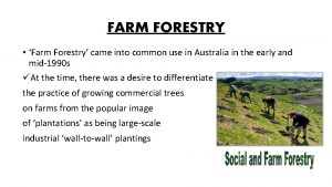 FARM FORESTRY Farm Forestry came into common use