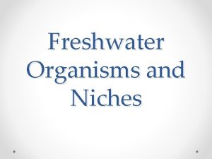 Freshwater Organisms and Niches AQUATIC ENVIRONMENTS Saltwater and