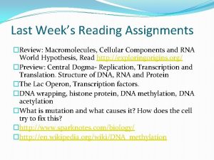 Last Weeks Reading Assignments Review Macromolecules Cellular Components