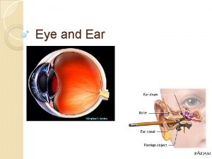 Eye and Ear Eye Bill Nye The Science