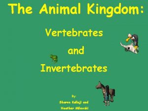 The Animal Kingdom Vertebrates and Invertebrates By Sharon
