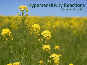 Hypersensitivity Reactions Kristine Krafts M D Hypersensitivity Reactions