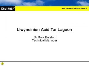 Llwyneinion Acid Tar Lagoon Dr Mark Burston Technical