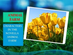ANIMAL FARM CHARACTERS IN THE NOVELLA ANIMAL FARM