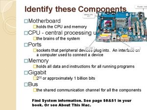 Identify these Components Motherboard holds the CPU and