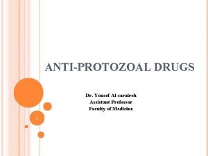 ANTIPROTOZOAL DRUGS Dr Yousef Alsaraireh Assistant Professor Faculty