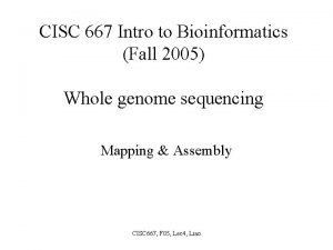 CISC 667 Intro to Bioinformatics Fall 2005 Whole