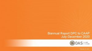 Biannual Report DPC to CAAP JulyDecember 2020 February