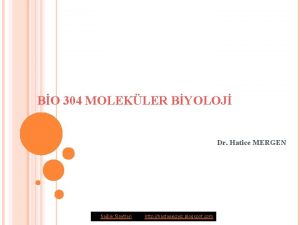 BO 304 MOLEKLER BYOLOJ Dr Hatice MERGEN Salk