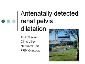 Antenatally detected renal pelvis dilatation Anil Chacko Chris