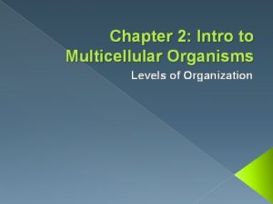 Chapter 2 Intro to Multicellular Organisms Levels of