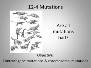 12 4 Mutations Are all mutations bad Objective