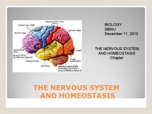 BIOLOGY SBI 4 U December 11 2012 THE