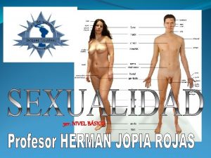 3 er NIVEL BSICO SISTEMA REPRODUCTOR MASCULINO SISTEMA