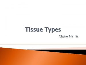 Tissue Types Claire Maffia Types of Muscle Tissue