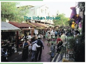 The Urban Mosaic The Human Mosaic Chapter 11