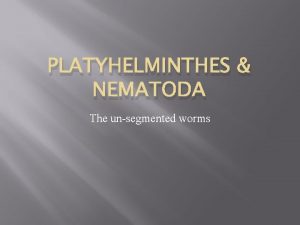 PLATYHELMINTHES NEMATODA The unsegmented worms Earland 2 GENERAL