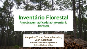Inventrio Florestal Amostragem aplicada ao inventrio florestal Margarida