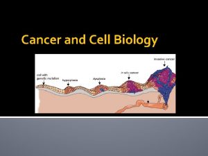 Cancer and Cell Biology Cancer Facts Group of