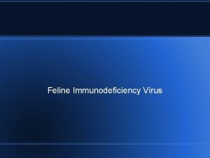 Feline Immunodeficiency Virus Cause Feline Immunodeficiency Virus FIV