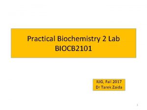 Practical Biochemistry 2 Lab BIOCB 2101 IUG Fall