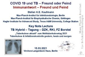 COVID 19 und TB Freund oder Feind Immunantwort