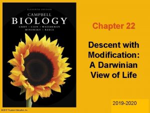 Chapter 22 Descent with Modification A Darwinian View