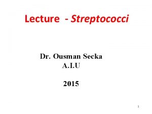 Lecture Streptococci Dr Ousman Secka A I U