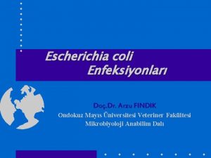 Escherichia coli Enfeksiyonlar Do Dr Arzu FINDIK Ondokuz