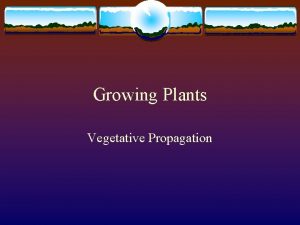 Growing Plants Vegetative Propagation Propagation Process of increasing