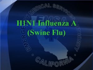 H 1 N 1 Influenza A Swine Flu