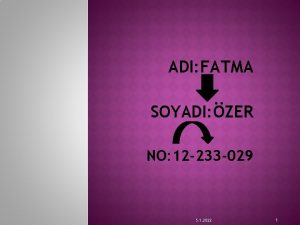 ADI FATMA SOYADI ZER NO 12 233 029