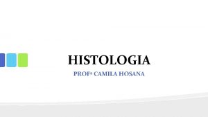 HISTOLOGIA PROF CAMILA HOSANA TECIDO EPITELIAL CONJUNTIVO MUSCULAR