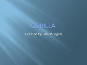 GORILLA Created by Jaci Muegerl The Gorilla is