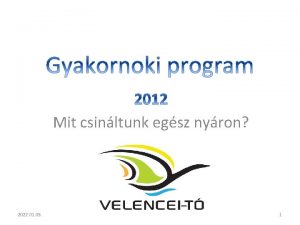 Mit csinltunk egsz nyron 2022 01 05 1