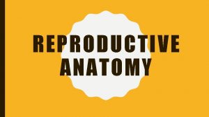 REPRODUCTIVE ANATOMY WARNING IF YOU CANT BEHAVE THEN