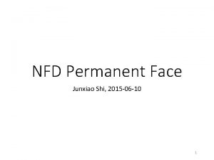 NFD Permanent Face Junxiao Shi 2015 06 10