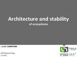 Architecture and stability of ecosystems Camille CARPENTIER ILEE