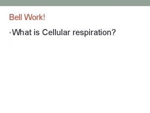 Bell Work What is Cellular respiration CELLULAR RESPIRATION