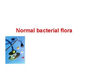 Normal bacterial flora The normal microbial flora is