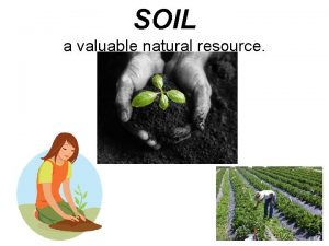 SOIL a valuable natural resource Why Because everything