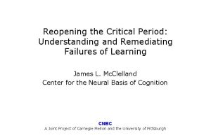 Reopening the Critical Period Understanding and Remediating Failures