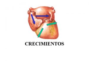 CRECIMIENTOS POSICION ELECTRICA ROTACION DEXTRORROTACION S prof en