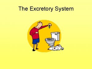 The Excretory System The function of the excretory