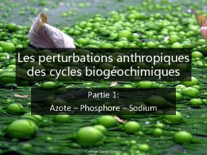 Les perturbations anthropiques des cycles biogochimiques Partie 1